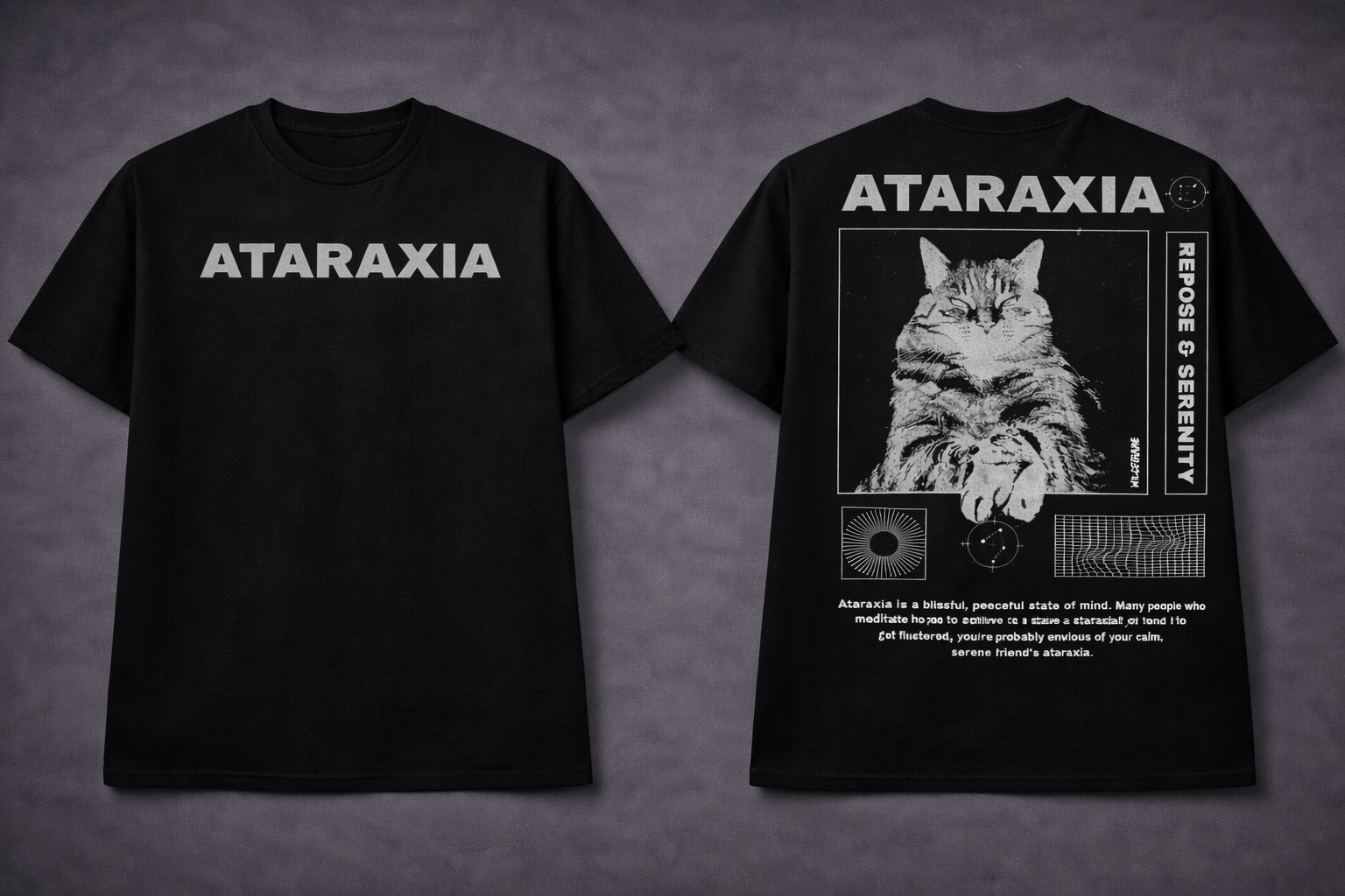Ataraxia Graphic T-Shirt – Minimal Aesthetic Streetwear Tee for Men