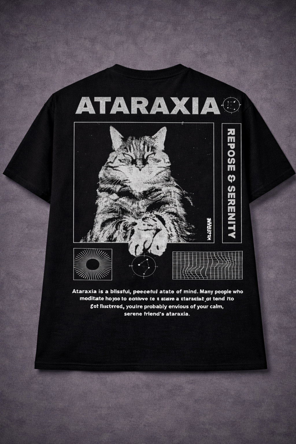 Ataraxia Graphic T-Shirt – Minimal Aesthetic Streetwear Tee for Men
